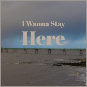 Various Artist - I Wanna Stay Here