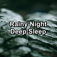 Relax & Relax - Rainy Night Deep Sleep
