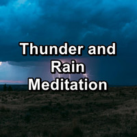 Relaxing Sounds of Nature - Thunder and Rain Meditation