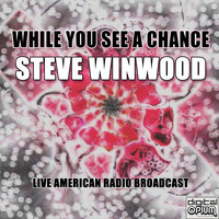 Steve Winwood - While You See A Chance (Live)