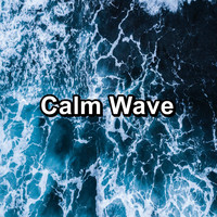 Dr. Meditation - Calm Wave