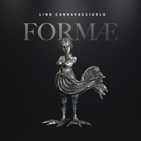Lino Cannavacciuolo - Formae