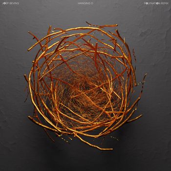 Joep Beving - Hanging D (Polynation Remix)