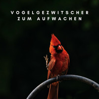 Vogelstimmen - Vogelgezwitscher zum Aufwachen: Vogelstimmen in der Morgendämmerung, Naturgeräusche zum Aufstehen
