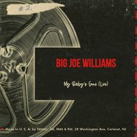 Big Joe Williams - My Baby's Gone (Live)