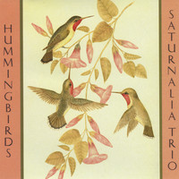 Saturnalia Trio - Hummingbirds