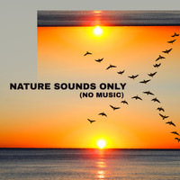 Calm Singing Birds Zone - Nature Sounds Only (No Music) - Calming Meditation, Relax, Yoga & Spa