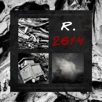 R.2614 - Nik Les Embrouilles
