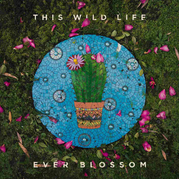 This Wild Life - I Don't Love You Like I Want To