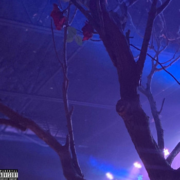 Dizzle - Mistake (Explicit)
