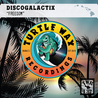 DiscoGalactiX - Freedom