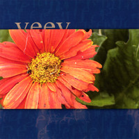 Veev - Luciferin