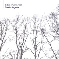 Tunde Jegede - Still Moment