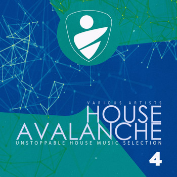 Various Artists - House Avalanche, Vol. 4