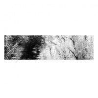MICHAEL FIEDLER - Thought Recordings
