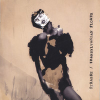 STRASSE - Transylvanian Flower