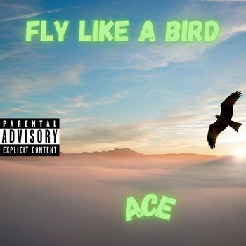 Ace - Fly Like A Bird (Explicit)