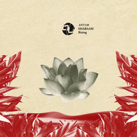 Shabaam - Rising (Original Mix)
