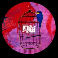 Luto - Passarinhos Em Gaiolas