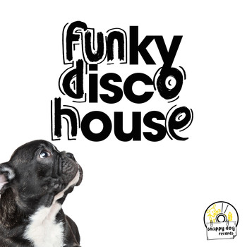 Various Artists - Funky Disco House