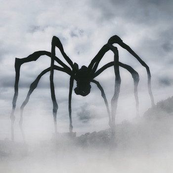 Bufo on the Beat - Black Widow
