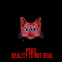 Peku - Reality Is Not Real
