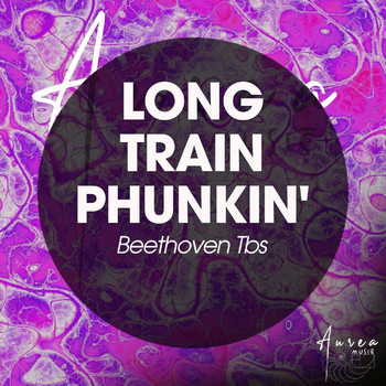 Beethoven tbs - Long Train Phunkin'