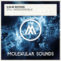 O.B.M Notion - Still Indescribable