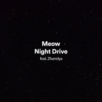 Meow - Night Drive