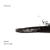 Zeemen - Moment of Light