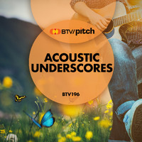 Bob Bradley - Acoustic Underscores