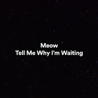 Meow - Tell Me Why I'm Waiting (Explicit)
