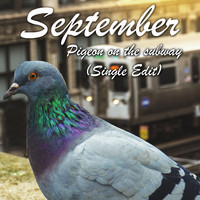 September - Pigeon on the subway (Single Edit)