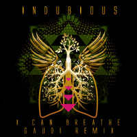 Indubious - I Can Breathe (Gaudi Remixes)