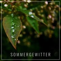 Field Notes Collective - Sommergewitter