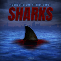 Youngs Teflon - Sharks