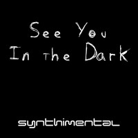 Synthimental - See You in the Dark