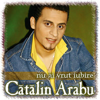 Catalin Arabu - Nu ai vrut iubire