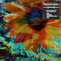 Broken Head - Sungazer