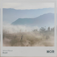 WastReal - Dust
