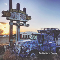 Rich Aucoin - Trip (AA Wallace Remix)