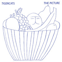 Tigercats - The Picture