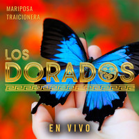Los Dorados - Mariposa Traicionera (En Vivo)