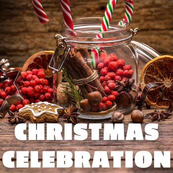 Various Artists - Christmas Celebration