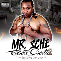 Mr. Sche - Street Credit 2 (Explicit)