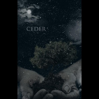 Ceder - I Never