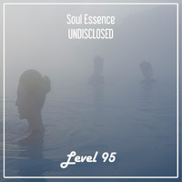 Soul Essence - Undisclosed