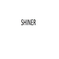 Shiner - saint time