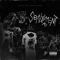 Adi - Sentiment
