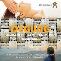 Ujang Suryana - Degung Sundanese Gamelan Music